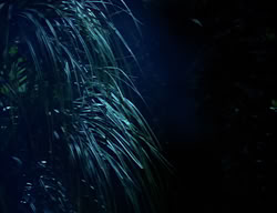 extant_XenaWarriorPrincess_2x08-TenLittleWarlords_0045