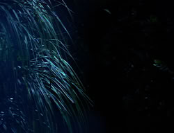 extant_XenaWarriorPrincess_2x08-TenLittleWarlords_0046