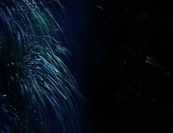extant_XenaWarriorPrincess_2x08-TenLittleWarlords_0047