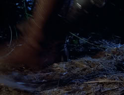extant_XenaWarriorPrincess_2x08-TenLittleWarlords_0058