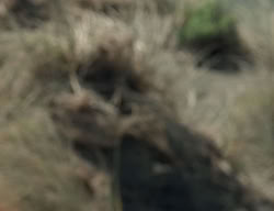 extant_XenaWarriorPrincess_2x08-TenLittleWarlords_0254