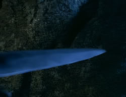 extant_XenaWarriorPrincess_2x08-TenLittleWarlords_2373