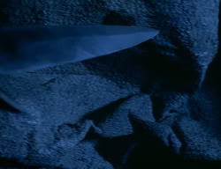 extant_XenaWarriorPrincess_2x08-TenLittleWarlords_2377