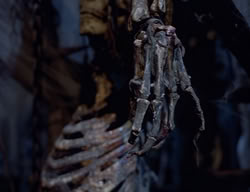 extant_XenaWarriorPrincess_2x08-TenLittleWarlords_2590