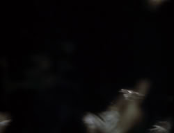 extant_XenaWarriorPrincess_2x08-TenLittleWarlords_2859