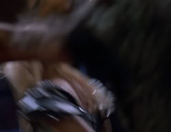extant_XenaWarriorPrincess_2x08-TenLittleWarlords_2960