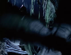 extant_XenaWarriorPrincess_2x08-TenLittleWarlords_3011