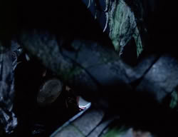 extant_XenaWarriorPrincess_2x08-TenLittleWarlords_3015