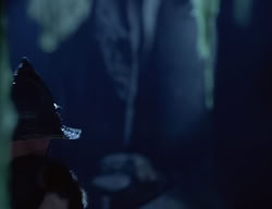 extant_XenaWarriorPrincess_2x08-TenLittleWarlords_3032