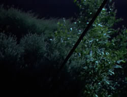 extant_XenaWarriorPrincess_2x09-ASolsticeCarol_1641