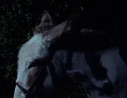 extant_XenaWarriorPrincess_2x09-ASolsticeCarol_1686