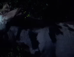 extant_XenaWarriorPrincess_2x09-ASolsticeCarol_1687