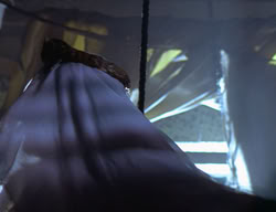 extant_XenaWarriorPrincess_2x09-ASolsticeCarol_1779