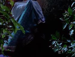 extant_XenaWarriorPrincess_2x09-ASolsticeCarol_1800