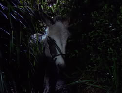 extant_XenaWarriorPrincess_2x09-ASolsticeCarol_1821