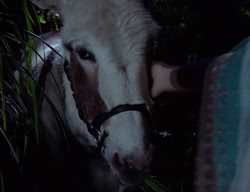 extant_XenaWarriorPrincess_2x09-ASolsticeCarol_1829