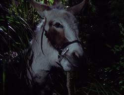 extant_XenaWarriorPrincess_2x09-ASolsticeCarol_1842