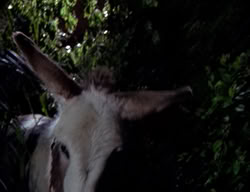 extant_XenaWarriorPrincess_2x09-ASolsticeCarol_1847