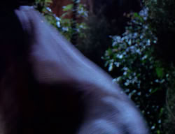extant_XenaWarriorPrincess_2x09-ASolsticeCarol_1857