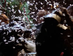 extant_XenaWarriorPrincess_2x09-ASolsticeCarol_3225