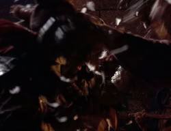 extant_XenaWarriorPrincess_2x09-ASolsticeCarol_3234