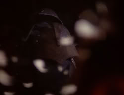 extant_XenaWarriorPrincess_2x09-ASolsticeCarol_3244