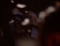 extant_XenaWarriorPrincess_2x09-ASolsticeCarol_3245