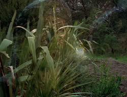 extant_XenaWarriorPrincess_2x09-ASolsticeCarol_3360