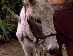 extant_XenaWarriorPrincess_2x09-ASolsticeCarol_3419