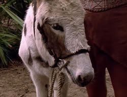 extant_XenaWarriorPrincess_2x09-ASolsticeCarol_3420