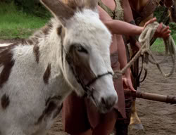 extant_XenaWarriorPrincess_2x09-ASolsticeCarol_3439