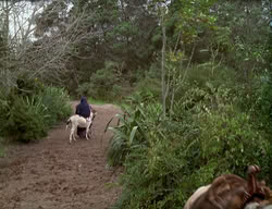extant_XenaWarriorPrincess_2x09-ASolsticeCarol_3535