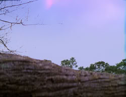 extant_XenaWarriorPrincess_2x09-ASolsticeCarol_3540