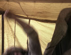 extant_XenaWarriorPrincess_2x10-TheXenaScrolls_0246