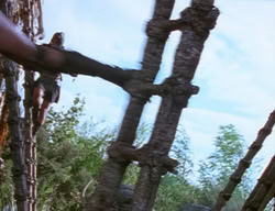 extant_XenaWarriorPrincess_2x10-TheXenaScrolls_0524