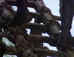 extant_XenaWarriorPrincess_2x10-TheXenaScrolls_0564