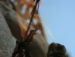 extant_XenaWarriorPrincess_2x10-TheXenaScrolls_0610