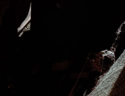 extant_XenaWarriorPrincess_2x10-TheXenaScrolls_1149