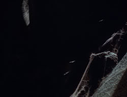 extant_XenaWarriorPrincess_2x10-TheXenaScrolls_1152