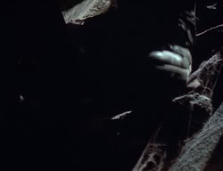 extant_XenaWarriorPrincess_2x10-TheXenaScrolls_1153
