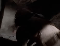 extant_XenaWarriorPrincess_2x10-TheXenaScrolls_1166