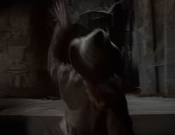 extant_XenaWarriorPrincess_2x10-TheXenaScrolls_1972