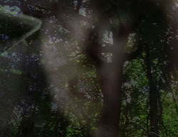extant_XenaWarriorPrincess_2x10-TheXenaScrolls_2778