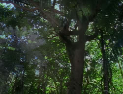 extant_XenaWarriorPrincess_2x10-TheXenaScrolls_2779