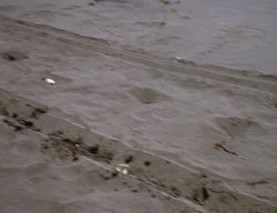 extant_XenaWarriorPrincess_2x11-HereSheComesMissAmphipolis_00091