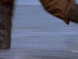 extant_XenaWarriorPrincess_2x11-HereSheComesMissAmphipolis_00147