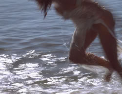 extant_XenaWarriorPrincess_2x11-HereSheComesMissAmphipolis_00161