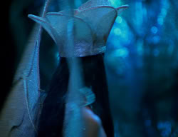 extant_XenaWarriorPrincess_2x11-HereSheComesMissAmphipolis_01742