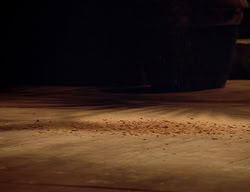 extant_XenaWarriorPrincess_2x11-HereSheComesMissAmphipolis_02620