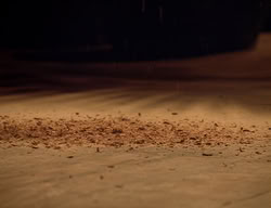extant_XenaWarriorPrincess_2x11-HereSheComesMissAmphipolis_02626